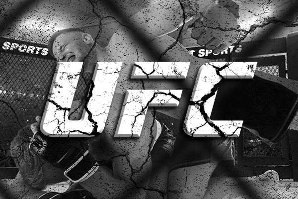 UFC Logo Banner